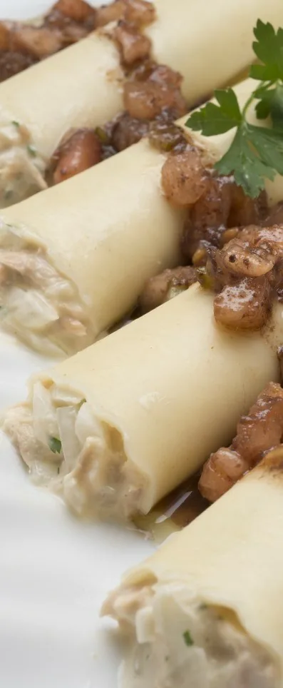 CANELONES FRÍOS